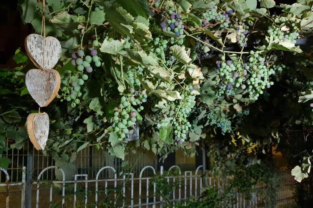 Villa Lac Campione dʼItalia Zewnętrze zdjęcie